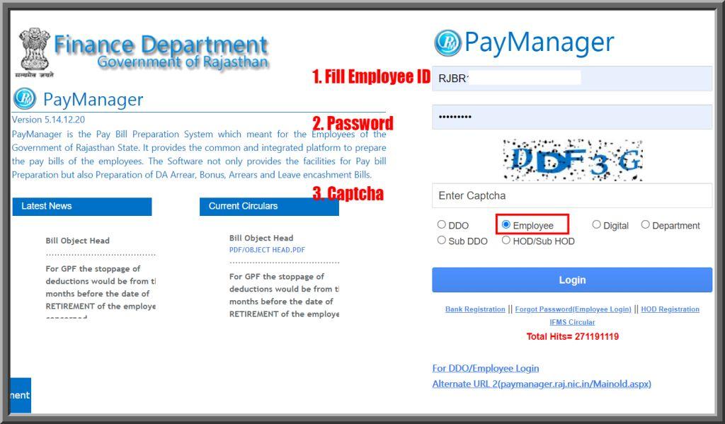 Download Paymanager Payslip